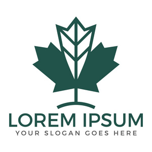 绿色枫叶叶矢量 logo 设计模板照片