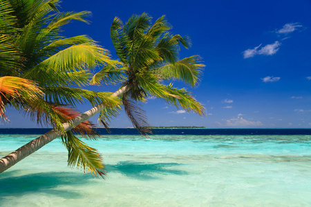马尔代夫热带天堂图片