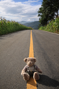 道路和熊