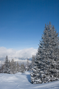 雪下的山脉。 滑雪胜地schladming。 奥地利