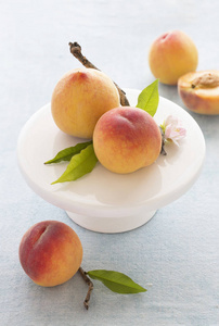 叶新鲜采摘的桃子图片