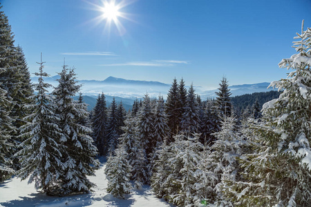 在山上滑雪度假村 Bukovel 冬季景观