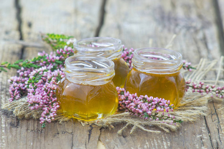 中药蜜用石楠花照片