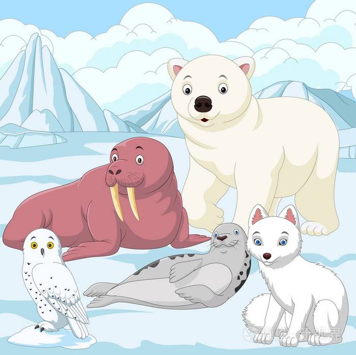 卡通北极动物与冰原背景插画 正版商用图片01nogd 摄图新视界 卡通北极动物与冰原背景插画 正版商用图片01nogd 摄图新视界