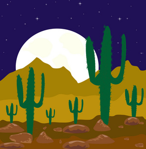 沙漠中的月亮之夜