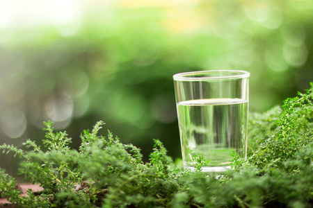 一杯清凉新鲜水天然绿色背景照片