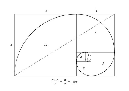 黄金分割律构图图片