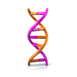 紫色和橙色和红色的 Dna 图标