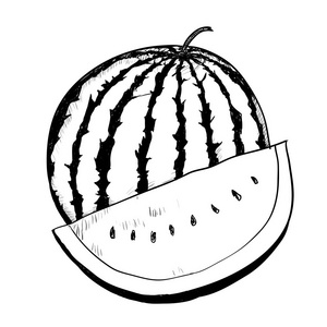 瓜插画手绘西瓜-矢量绘制插画照片
