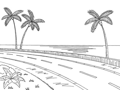 路黑街路图形棕榈树黑白色风景素描图矢量照片