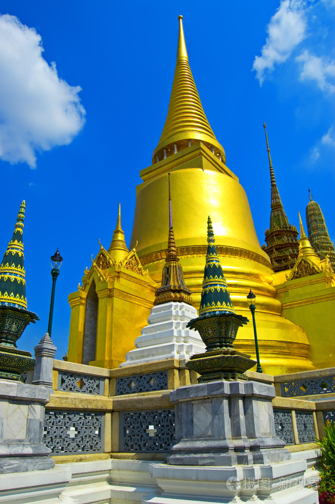 扇形棕榈细纤维bangkok曼谷泰国首都