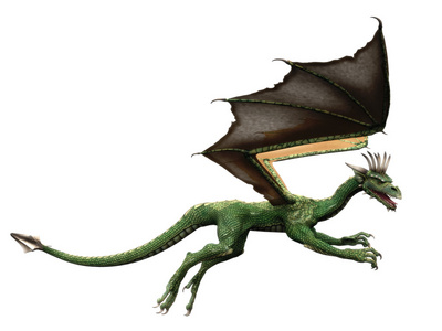 飞龙[栖息在树上的鬣蜥科(draco)多种蜥蜴的统称][亦作 flying lizard