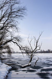 冰冻的湖泊和树木