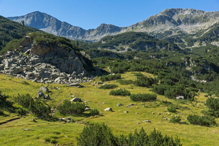 惊人的景观与 Banderishki 鸡峰，皮林山