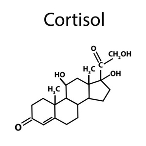 激素皮质醇的化学分子式。肾上腺分泌的激素。信息图表。矢量图