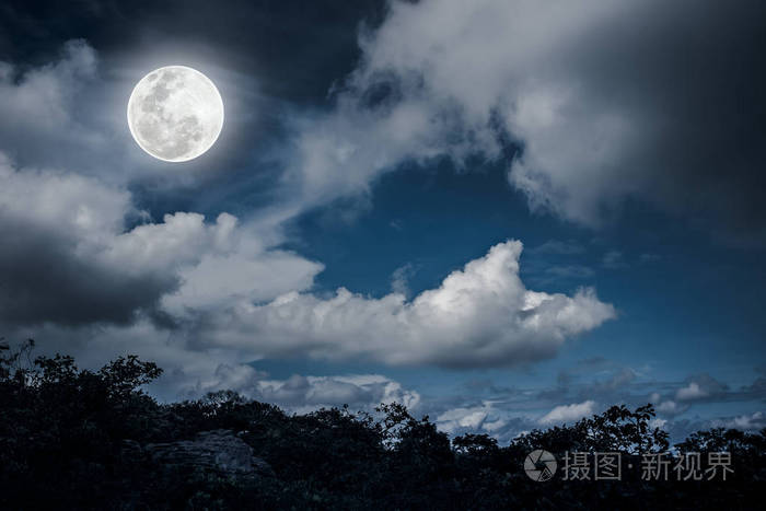 树和夜间天空布满乌云明亮的满月自然背景的剪影