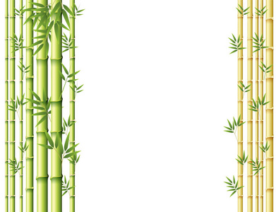 绿色和金色的竹茎背景设计