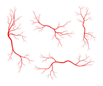 人的静脉，容器设置的矢量符号图标设计