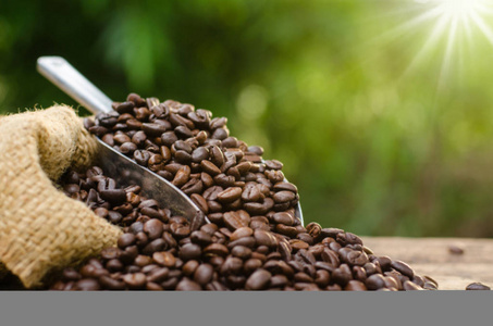 在自然绿色背景烤咖啡豆袋和咖啡照片
