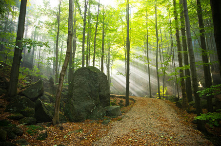 Jizera 山，捷克共和国