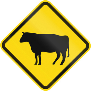 牛渡在巴西使用的警告标志