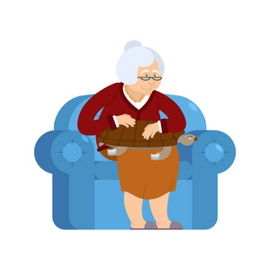 祖母和龟宠物坐在椅子上。奶奶和乌龟