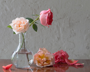 在旧的白色背景上的花瓶中的玫瑰