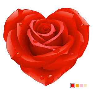 心脏形状的矢量红玫瑰