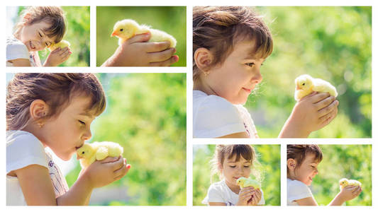 孩子他手里拿着一只鸡。这个女孩和鸟。拼贴。选择性的焦点