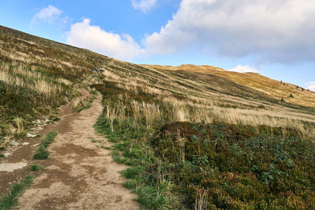 在早期的秋天，Bieszczady 国家公园 Bieszczady 山的美景尽收眼底 波兰语 Bieszczadzki 公园