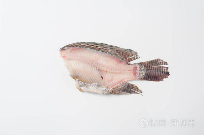 尼罗罗非鱼鱼骨白色背景上