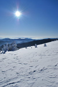 极地太阳极地太阳照片