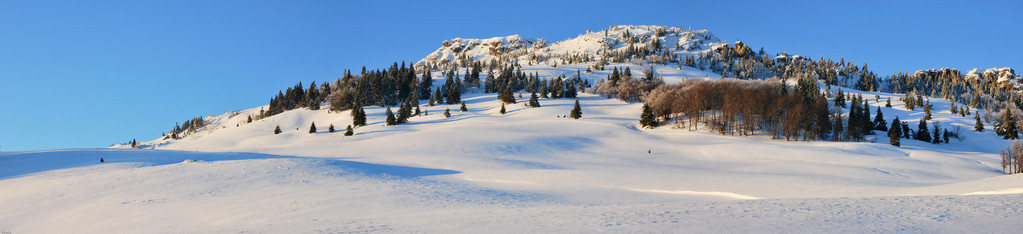 雪田