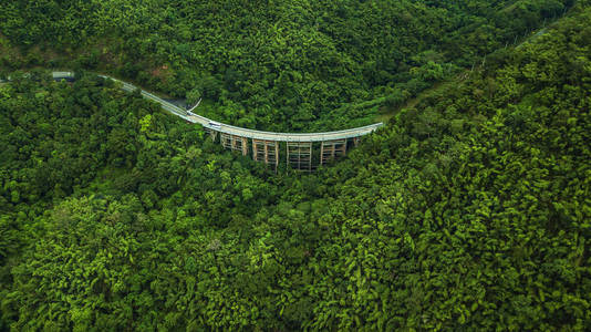 鸟瞰的道路或桥梁正在一片森林