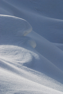 雪的形式