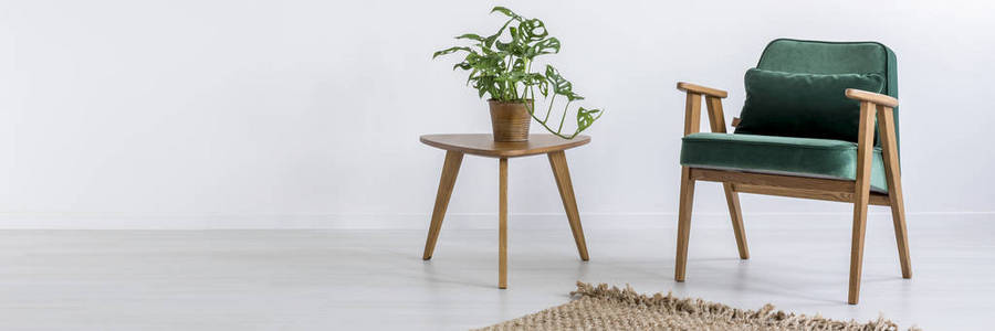 椅子和桌子与植物