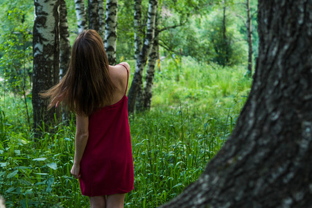 漂亮的女孩，穿着红色夏天的森林里山