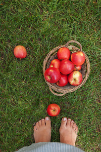 女性腿附近的多汁的红苹果在篮子里，散落在 g