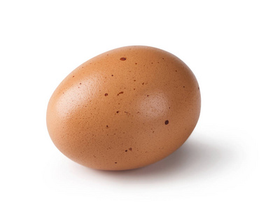 孤立的棕色蛋