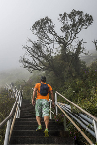 巴西里约热内卢, 2017年5月 巴西里约热内卢尖州立公园徒步爬上皮达喀的楼梯