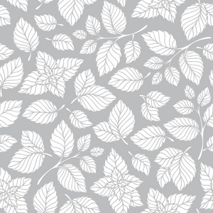 手绘卡通薄荷手绘制的矢量无缝模式与薄荷叶照片