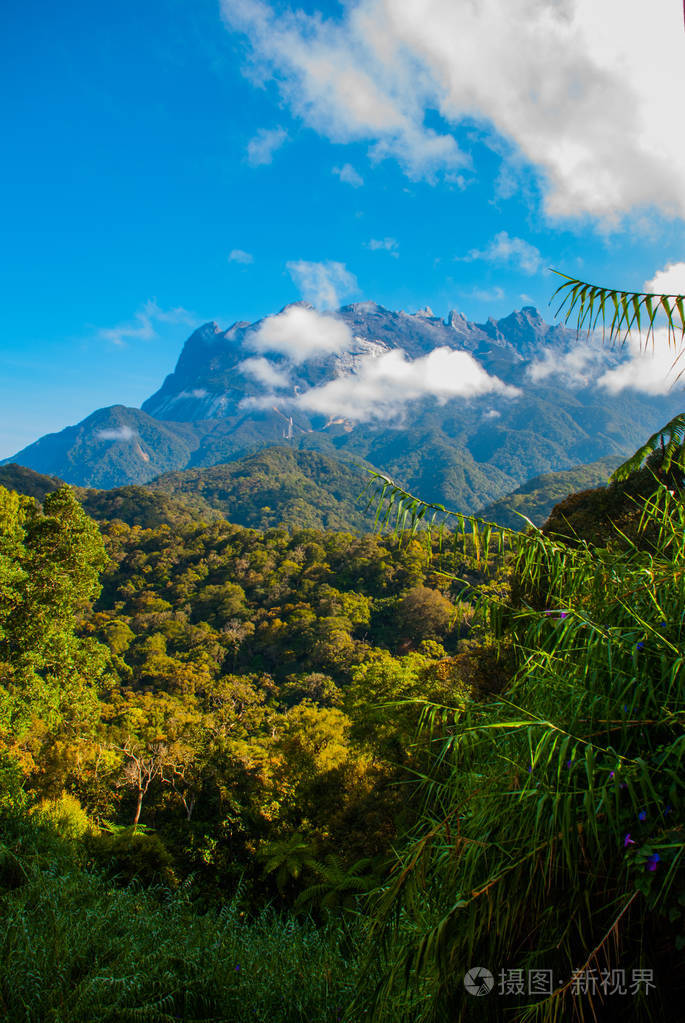 京那巴鲁山国家公园婆罗洲马来西亚沙巴