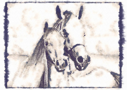 手绘马头铅笔素描图片
