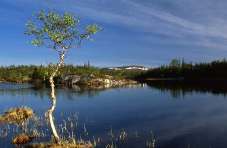 瑞典平静湖泊的美丽景观