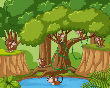 猴子在森林里卡通插图猴子森林里玩耍卡通插图猴子森林里玩耍野生动物