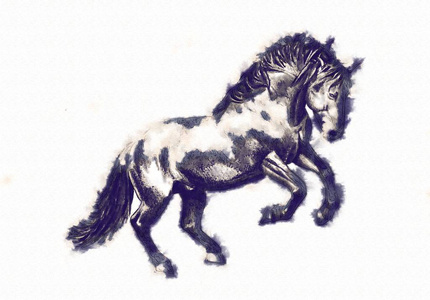 铅笔素描的马图片