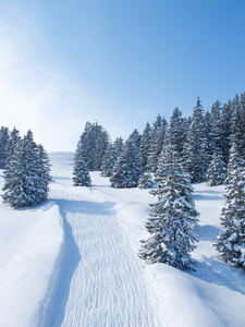 滑雪坡