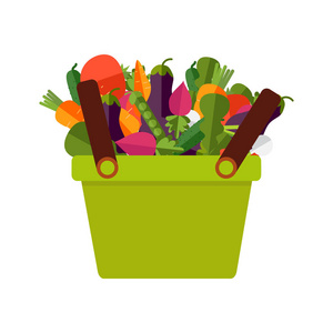 新鲜蔬菜的购物篮。健康教导的概念