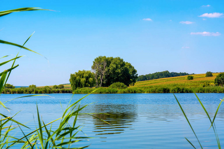 美丽的蓝色湖泊周围的自然的照片