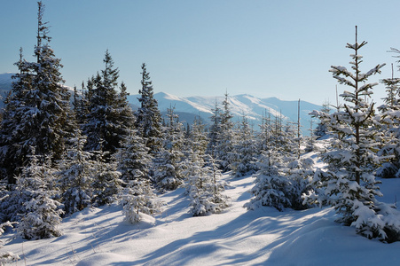 山区冬季景观